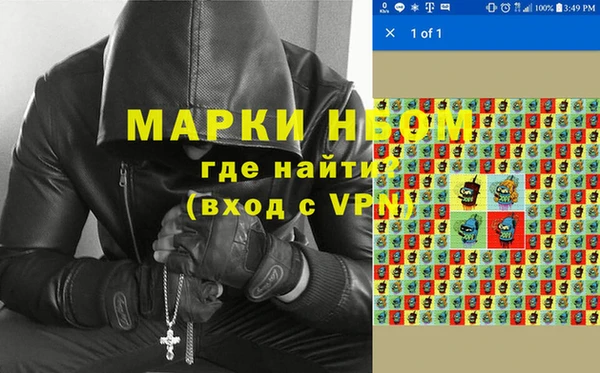 стаф Белокуриха