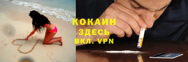 стаф Белокуриха