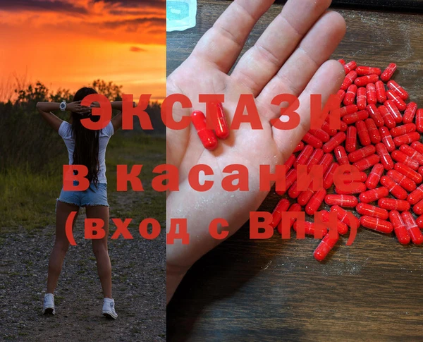 стаф Белокуриха