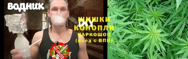 стаф Белокуриха