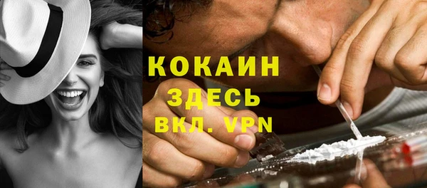 стаф Белокуриха