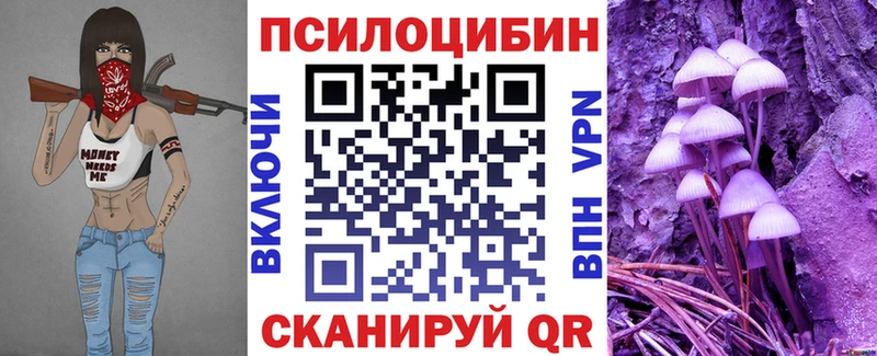 где купить   Верхоянск  Псилоцибиновые грибы мухоморы 