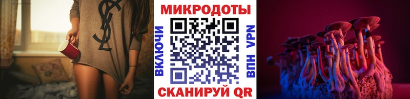 Псилоцибиновые грибы Psilocybine cubensis Верхоянск