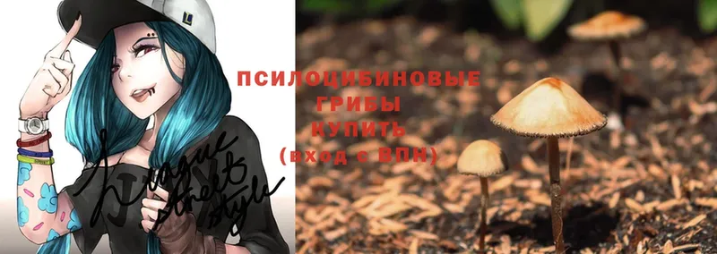 Галлюциногенные грибы Magic Shrooms  как найти закладки  Верхоянск 